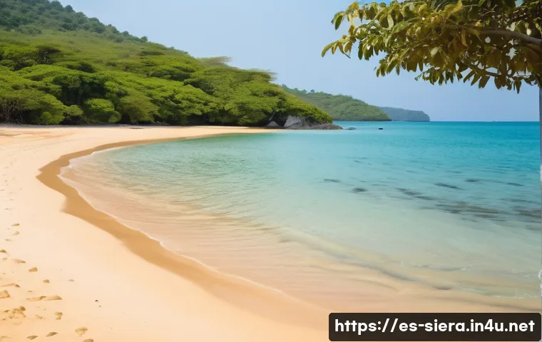 시에라리온 번드 비치 - A serene, pristine beach in Sierra Leone during the dry season, featuring golden sand and clear turq...